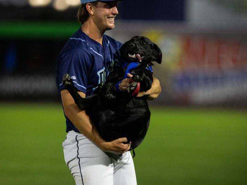Tuesdays are for the Dogs With the Blue Rocks' “Bark in the Park”