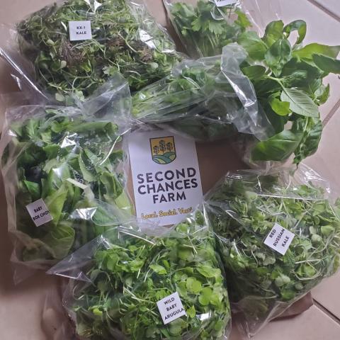 A Fresh Home Delivery from Second Chances Farm