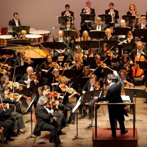Delaware Symphony Orchestra - photo by Joe del Tufo